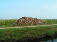 Klik op de foto voor groter formaat